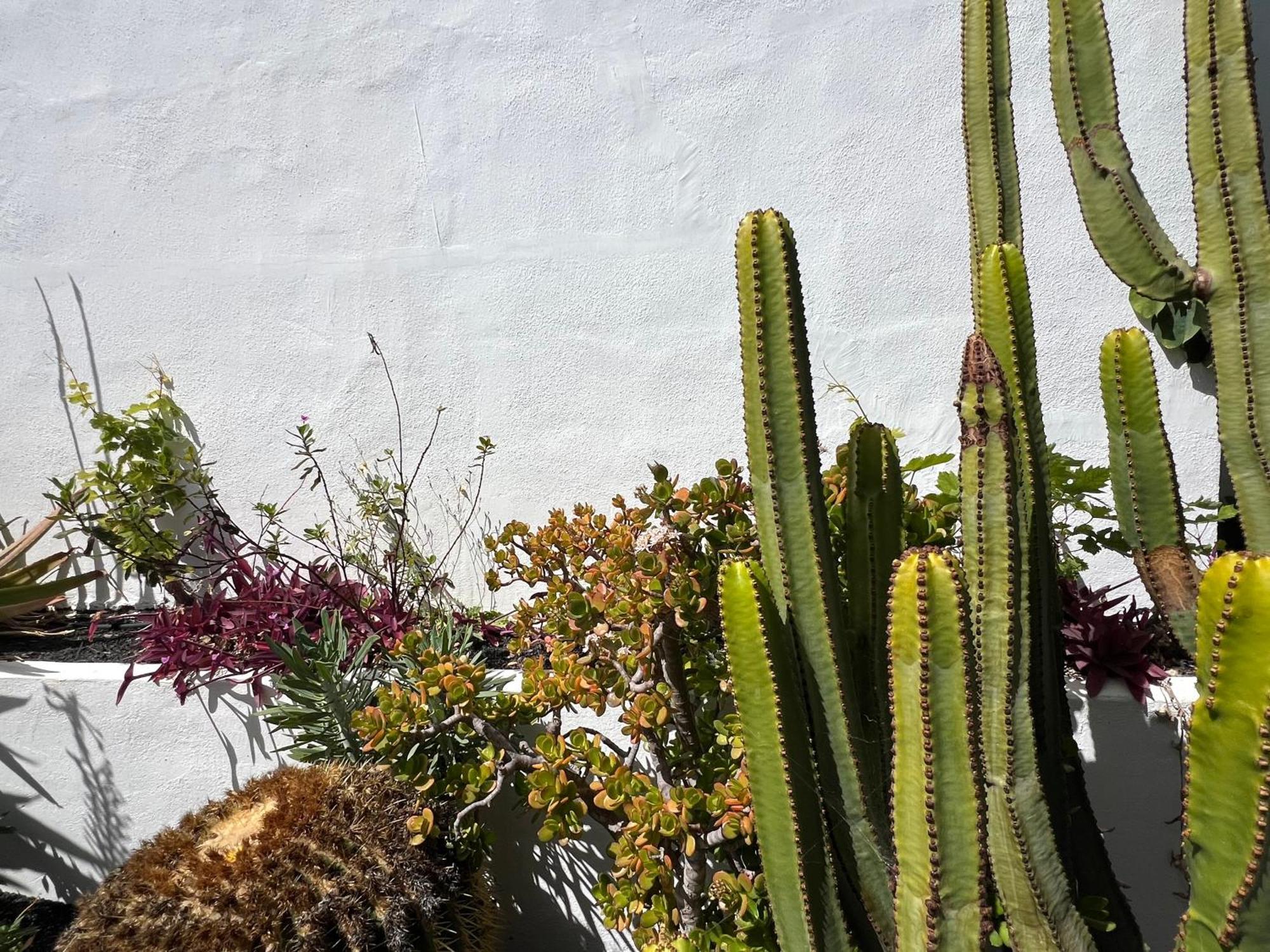 Oasis En Lanzarote Villa Costa Teguise Bagian luar foto