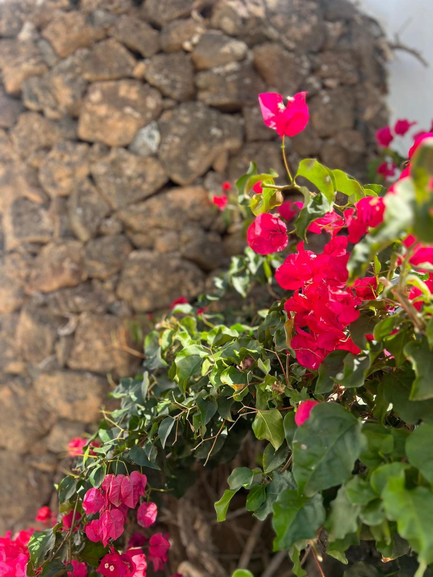 Oasis En Lanzarote Villa Costa Teguise Bagian luar foto